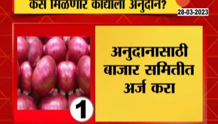 Maharashtra Govt To Give Grant To Farmers For Onion Price Falls