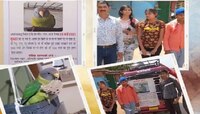 ऐकावं ते नवलच! पाळलेला पोपट उडून गेला, कुटुंबाने अन्नत्याग केला, मुलीने शिक्षण सोडलं