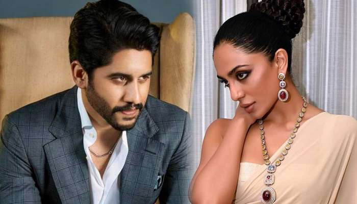 Naga Chaitanya Relationship : आणखी किती लपवणार? शोभिता- नागा चैतन्य पुन्हा एकत्र, त्या क्षणांचा फोटो व्हायरल 