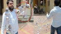 Video : एवढ्या पैशानेही पोट भरत नसेल तर... लाच मागितली म्हणून सरपंचाने उडवले दोन लाख