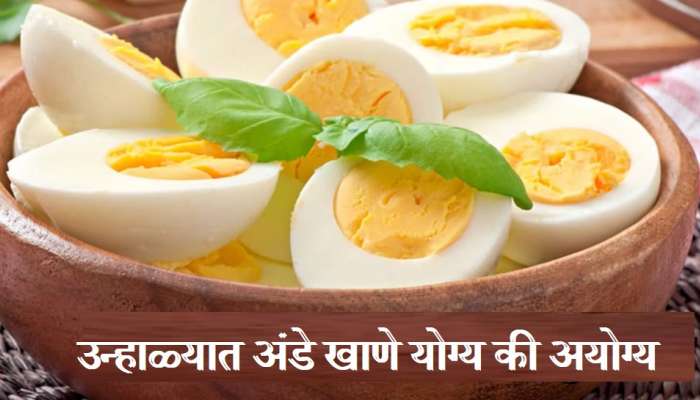 Eggs News :  उन्हाळ्यात अंडी खात असाल तर ही काळजी घ्या, अन्यथा...