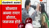 Ahmednagar | शेतकऱ्यांनो डोळ्यांची काळजी घ्या, कांदा माशीचा डोळ्यांवर अटॅक 