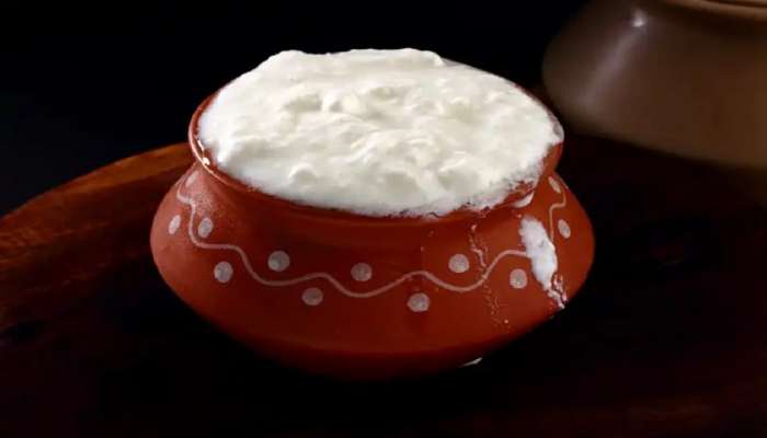 Benefits Of Curd : दह्यात काय मिसळून खाल्ल्याने शरीराला फायदा होतो? जाणून घ्या...