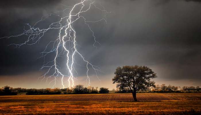 Unseasonal Rain : राज्यभरात अवकाळी पावसाचा धुमाकूळ; वीज कोसळून दोघांचा मृत्यू 