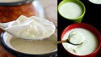 Curd Side Effects: 'या' व्यक्तींनी चुकूनही करू नये दह्याचे सेवन, होतात गंभीर परिणाम 