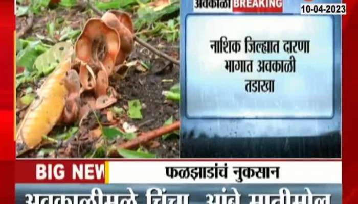 Nashik Ground Report on Crop Loss