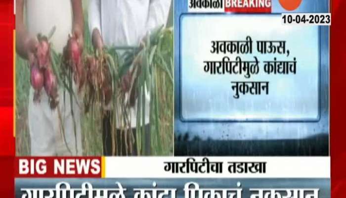 Nashik Nandgaon Ground Report Hailstrom Damage Onion Crop