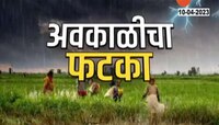 Unseasonal Rain | राज्यात अवकाळी पावसाचा तडाखा, 14 जिल्ह्यात 28 हजार हेक्टरवर पिकांना फटका