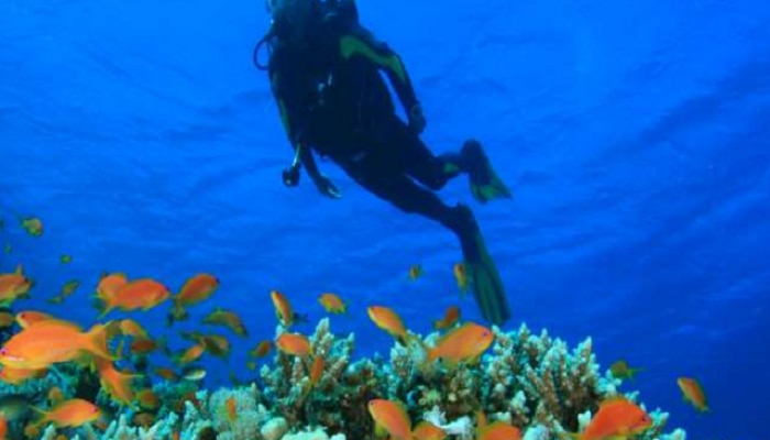 Best Scuba Diving Places in India For Summer