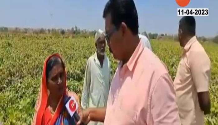  More than two and a half thousand hectares of agriculture has been lost in Dharashiv