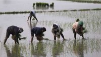 karnataka Election : शेतकऱ्यांच्या मुलांशी लग्न करणाऱ्या मुलींना मिळणार 2 लाख रुपये