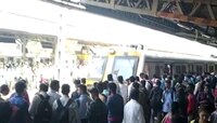 Mumbai: गर्दीने खचाखच भरलेल्या विरार रेल्वे स्थानकात घडली धक्कायक घटना