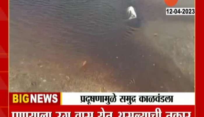 Sea Polluted By Midc