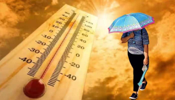 Heat Stroke : उष्माघातापासून स्वत:चा बचाव कसा कराल? राज्याच्या आरोग्य विभागाकडून नव्या मार्गदर्शक सूचना जारी 