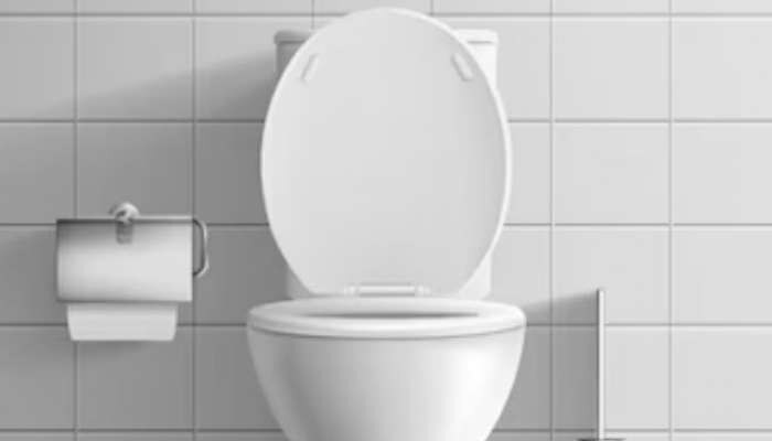 Top 7 Reasons Why Bathroom Toilets and Commodes are in White 