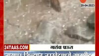 Hailstorm In Nagpur: नागपूरमध्ये गारांचा पाऊस, 'या' पिकांचं मोठं नुकसान!