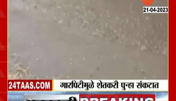 Amravati Melghat Unseasonal Heavy Rainfall With Hailstrom Damaging Crops