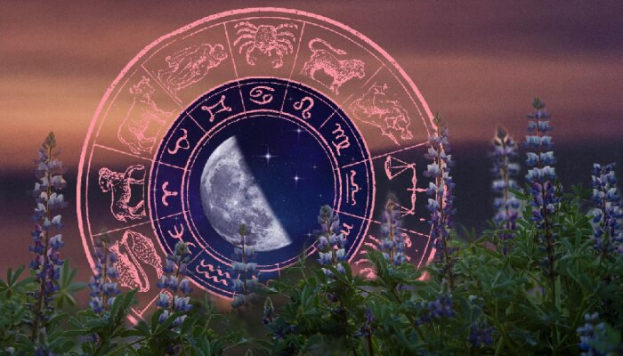 Horoscope 22 April 2023 : अक्षय्य तृतीयेच्या शुभ दिवशी पाहा काय सांगतं तुमचं राशीभविष्य?