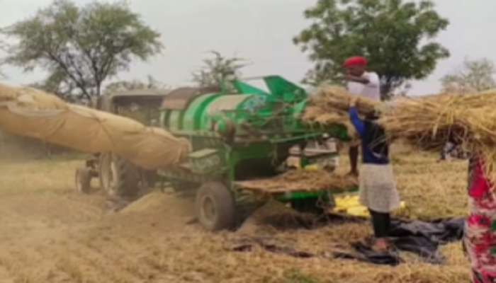 Viral Farmer Video: याला म्हणतात आत्मनिर्भर! वेळ आणि कष्ट वाचविण्यासाठी शेतकऱ्यांचा जुगाड पाहून तुम्हीही हेच म्हणाल