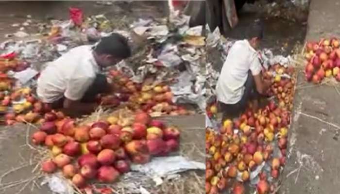 APMC Market Video: किळसवाणे! कुत्र्याने चाखलेल्या बर्फानंतर आता सडलेल्या फळांचा ज्युससाठी वापर 