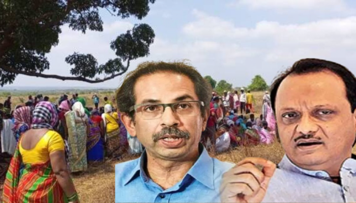 बारसू रिफायनरीला होणारा राजकीय विरोध मावळतोय? उद्धव ठाकरे, अजित पवारांची सावध भूमिका