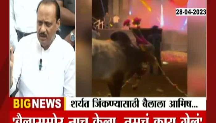 Ajit Pawar on Gautami Patil