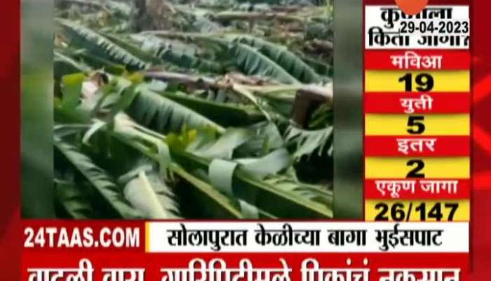 Solapur Banana Crop Loss