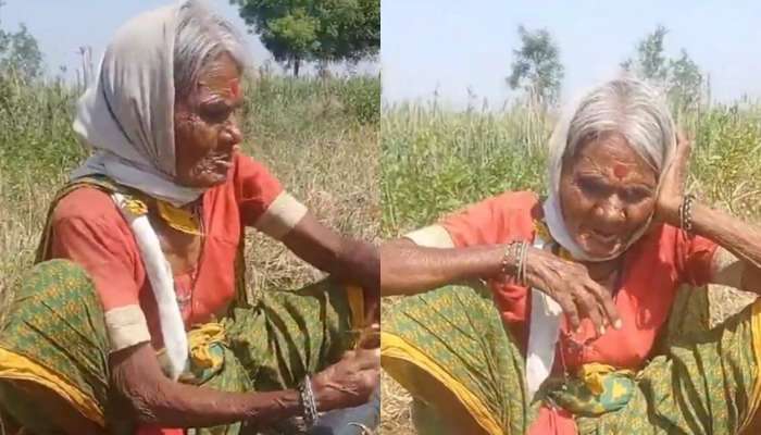 ...मेरा महबूब आया है! शेतात गोड आवाजात गाणं गाणाऱ्या आजीबाईंचा  Video Viral