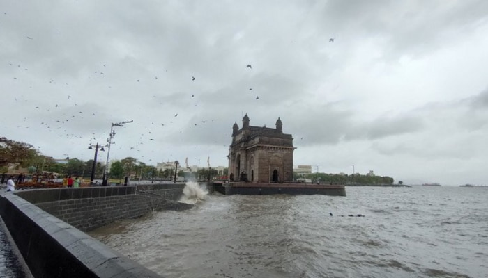 Mumbai Rain : मुंबईकरांनो घराबाहेर पडताना छत्री घ्यायला विसरु नका! अनेक भागांमध्ये पावसाच्या सरी  