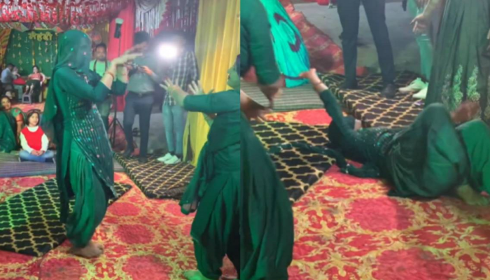 Viral Video : 'या' महिलेचा नागिन डान्स पाहिला का? जमिनीवर लोळत तिने...