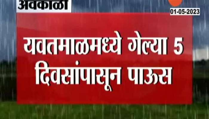Rainfall and Weather video Rain in Yavatmal for last 5 days 
