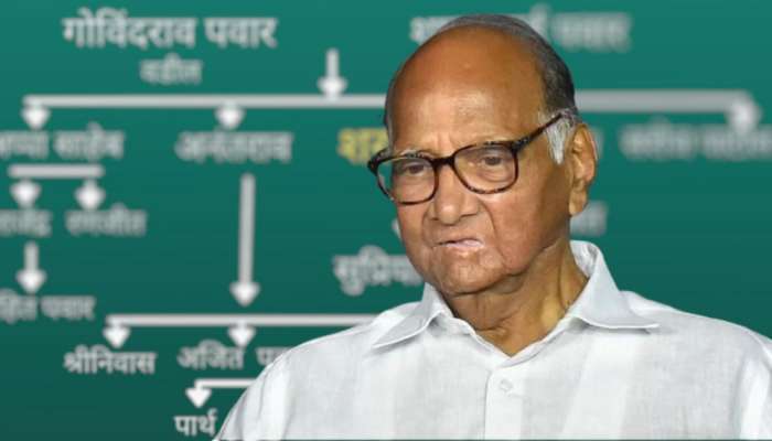 Sharad Pawar : शरद पवारांच्या कुटुंबाचा असा आहे गोतावळा, घराण्यात नेमके किती सदस्य? 