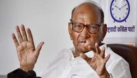राष्ट्रवादी अध्यक्ष पदासाठी या दोन नावांची चर्चा, कोणाच्या गळ्यात पडणार माळ?
