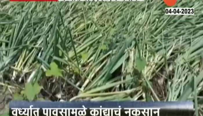 Wardha Farmers In Financial Crisis From Unseasonal Rain