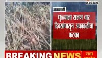 VIDEO | धुळ्यात चार दिवसांपासून सलन अवकाळी पाऊस, शेतकऱ्यांचं मोठं नुकसान