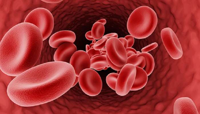 World Thalassemia Day 2023: तुमच्या शरीरात रक्त कमी आहे, लक्षणे दिसताच सुरु करा &#039;हे&#039; उपाय