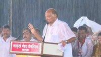 Video : पुन्हा तेच... पाऊस, शरद पवार आणि उपस्थितांचा कल्ला...