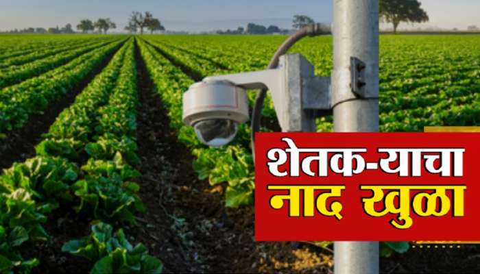 Maharashtra Farmer : घरात बसून करतोय शेताची राखण; शेतकरी कधी काय करेल याचा नेम नाही
