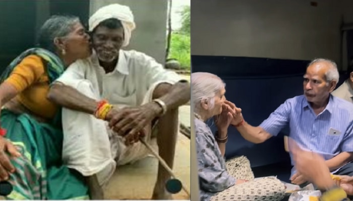 आयुष्याचा खरा जोडीदार! आजी आजोबांमधील प्रेमाचे हे Viral Video तुम्ही पाहिले का? 
