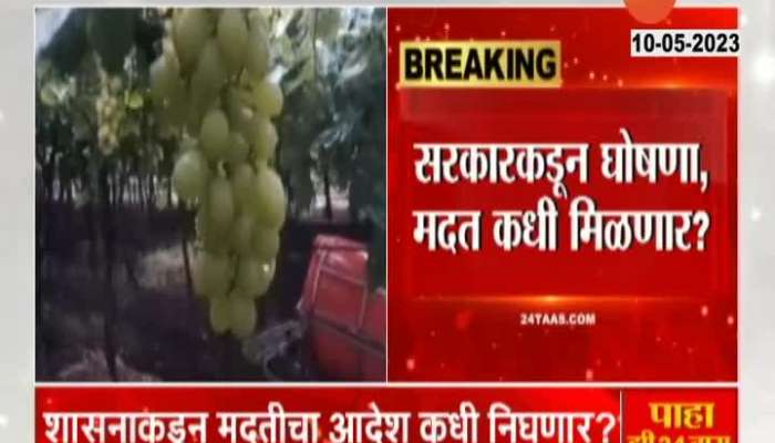 Maharashtra Farmers Waiting For Govt Help After Announcement Of Natural Disaster 