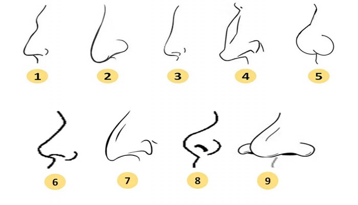 नाकाचा आकार तुमच्या स्वभावाबद्दल काय सांगतो? जाणून घ्या