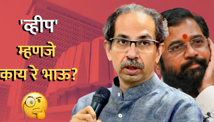 What is Whip: 'व्हीप' म्हणजे काय रे भाऊ? जाणून घ्या सोप्या भाषेत!