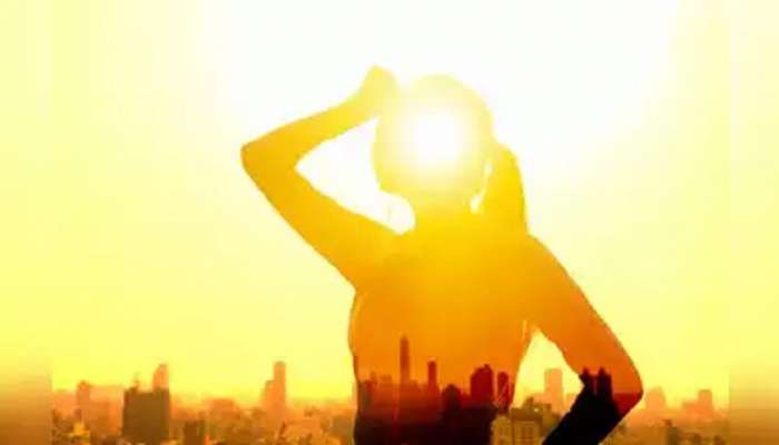 Heatwave : उष्णतेच्या लाटेमुळे त्रास होतोय का? मग या &#039;टिप्स&#039; फॉलो करा आणि वाचवा जीव...