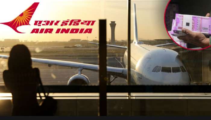 Air India: तिच्यामुळे Air India ला 30 लाखांचा फटका! Pilot ही 3 महिने घरीच बसणार