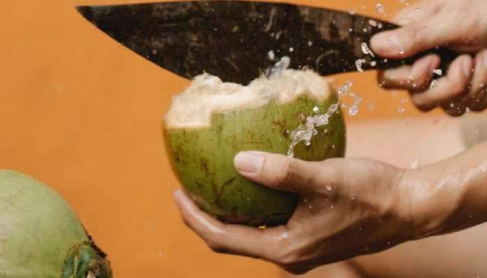 Coconut Water : नारळ पाणी पिण्याचे &#039;हे&#039; आहेत फायदे, अनेक आजार होतात दूर... 
