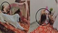 Prank on mom: आईवर प्रॅंक करायला गेली अन् तोंडावर आपटली; Video व्हायरल