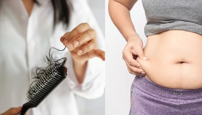 Belly Fat : वाढलेल्या बेली फॅटमुळे गळतायत तुमचे केस; पाहा नेमकं कसं?