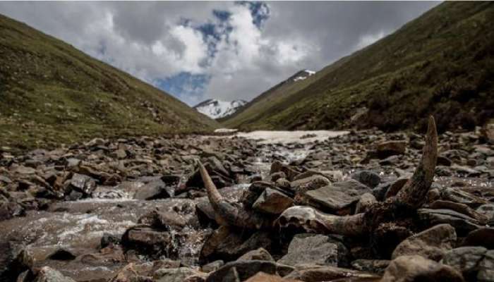 एका डान्समुळे 5 जणांनी गमावला जीव... उत्तराखंडमधील घटनाक्रम वाचून अंगावर येईल काटा