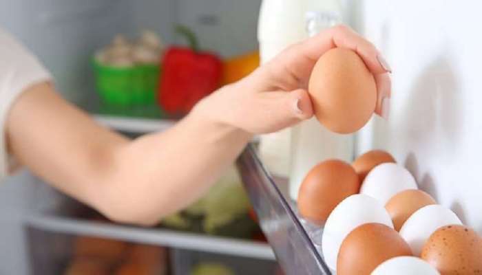 फ्रीजमध्ये अंडी, चिकन, पनीर ठेवता का? मग वाचा &#039;ही&#039; महत्त्वाची माहिती.. 