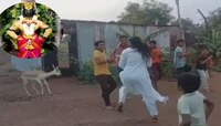 Video : हरिनामाच्या गजरावर हरिणानंही धरला ताल; पाहून गावकरीही भारावले